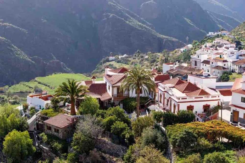 Luminoso Y Acogedor Daire Las Palmas de Gran Canaria Dış mekan fotoğraf